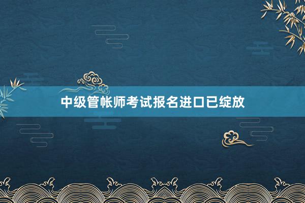 中级管帐师考试报名进口已绽放