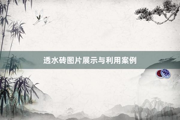透水砖图片展示与利用案例