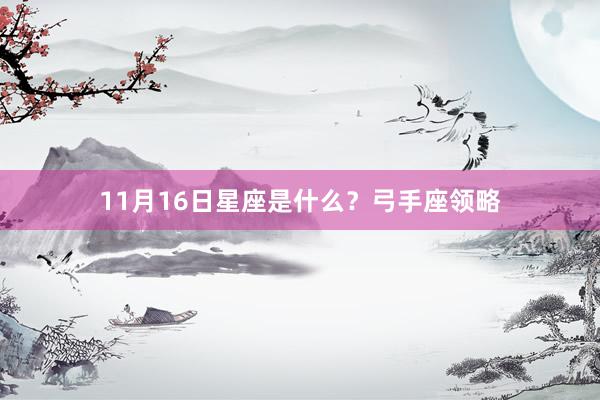 11月16日星座是什么？弓手座领略