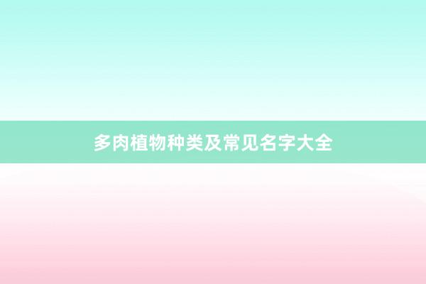 多肉植物种类及常见名字大全