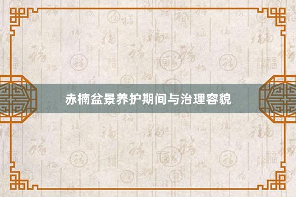 赤楠盆景养护期间与治理容貌