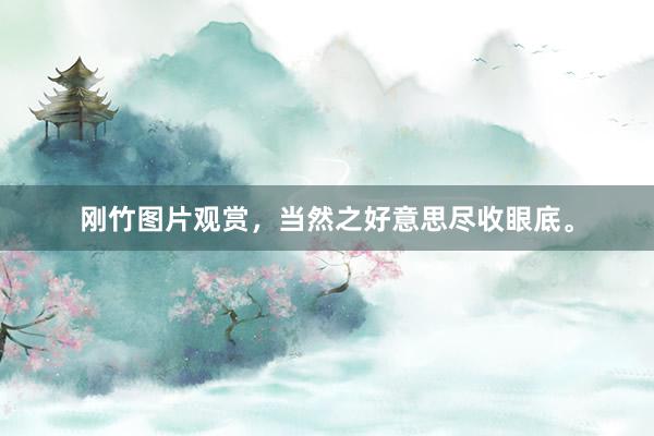 刚竹图片观赏，当然之好意思尽收眼底。