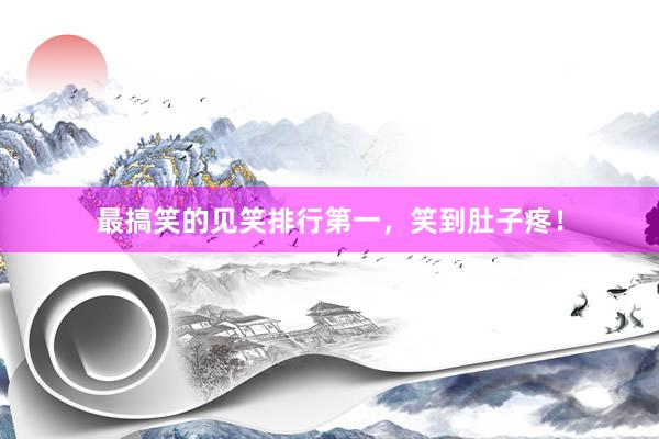 最搞笑的见笑排行第一,笑到肚子疼!